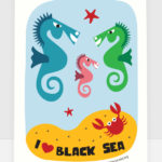 I ❤ Black Sea. Морски коне