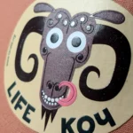 LifeКОЧ - Image 4